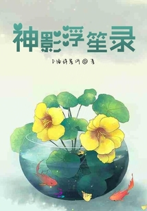 神影浮笙錄