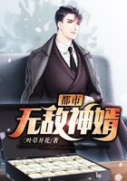 都市无敌神婿在线阅读