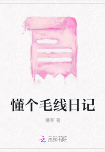 懂個毛線日記