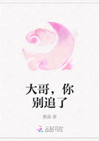 大哥，你别追了在线阅读