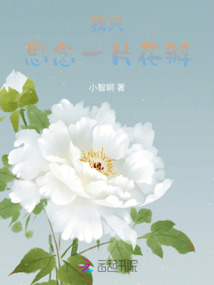 我只思念一片花瓣