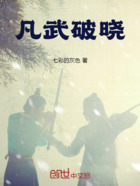 凡武破晓在线阅读