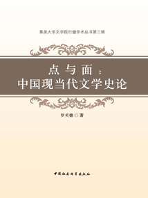 點與面:中國現當代文學史論