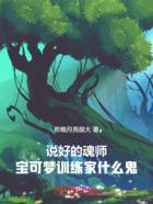 说好的魂师,宝可梦训练家什么鬼在线阅读