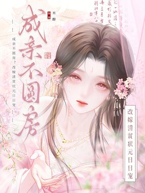 成亲不圆房？改嫁清贫状元日日宠在线阅读