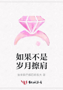如果不是歲月擦肩