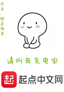 Please Call Me Power Bank