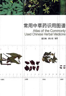 常用中草藥識用圖譜