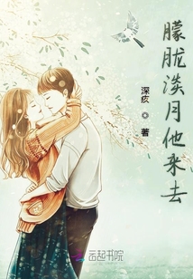 朦朧淡月他來去
