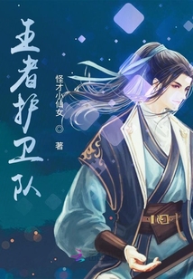 王者护卫队