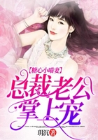 糖心小喵妻：总裁老公掌上宠在线阅读