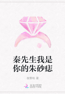 秦先生我是你的朱砂痣