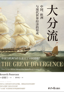 大分流
