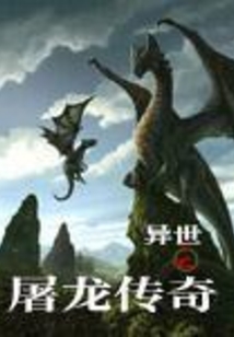 异世之屠龙传奇 cover