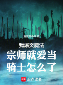 我爆炎魔法宗師就愛當騎士怎么了