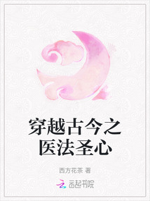 穿越古今之醫法圣心