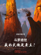 斗罗绝世：我的武魂是圣主？在线阅读