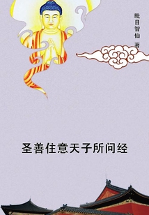 圣善住意天子所問經