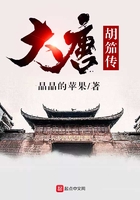 大唐胡笳傳在線閱讀