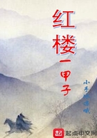 红楼一甲子