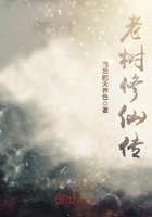 老树修仙传在线阅读
