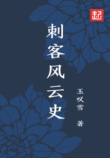 刺客风云史 cover