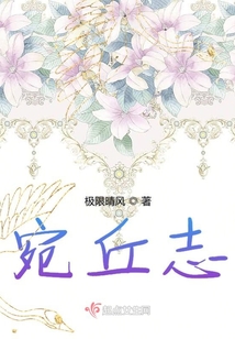 宛丘志