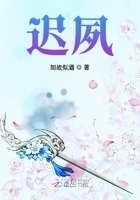 遲夙在線閱讀