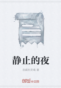 靜止的夜
