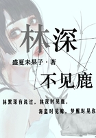 林深不见鹿在线阅读