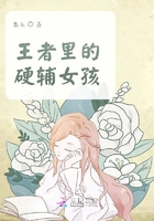 王者里的硬輔女孩在線閱讀