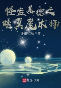 怪盗基德之暗翼魔术师
