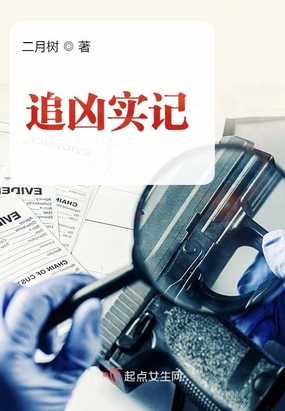 追凶实记在线阅读