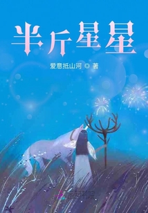 半斤星星