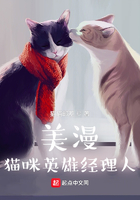 美漫：猫咪英雄经理人在线阅读