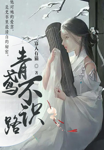 青鸢不识路
