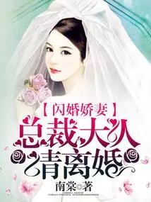 Flash Marriage Wife: Mr. President Please Get Divorce