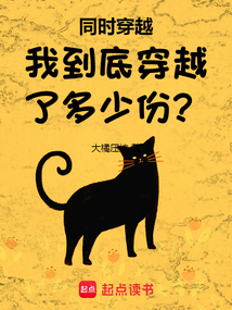 同時穿越：我到底穿越了多少份？