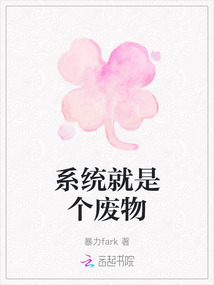 系統(tǒng)就是個廢物