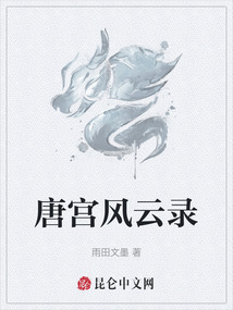 唐宮風云錄