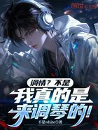 调情?不是,我真的是来调琴的!在线阅读