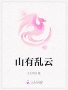 山有乱云在线阅读
