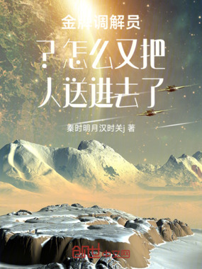 金牌调解员?怎么又把人送进去了在线阅读