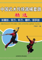 中国武术传统器械套路精选：长穗剑、双刀、朴刀、鞭杆、双手剑在线阅读