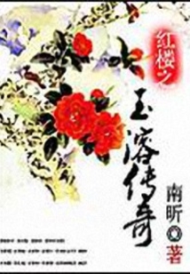 红楼之玉溶传奇