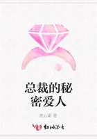 總裁的秘密愛人在線閱讀