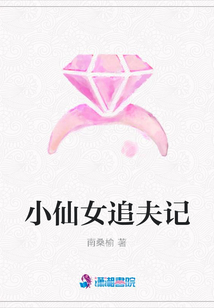 小仙女追夫記