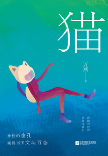 貓