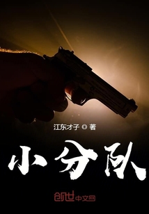小分隊(duì)