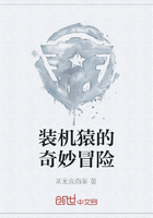 裝機猿的奇妙冒險在線閱讀